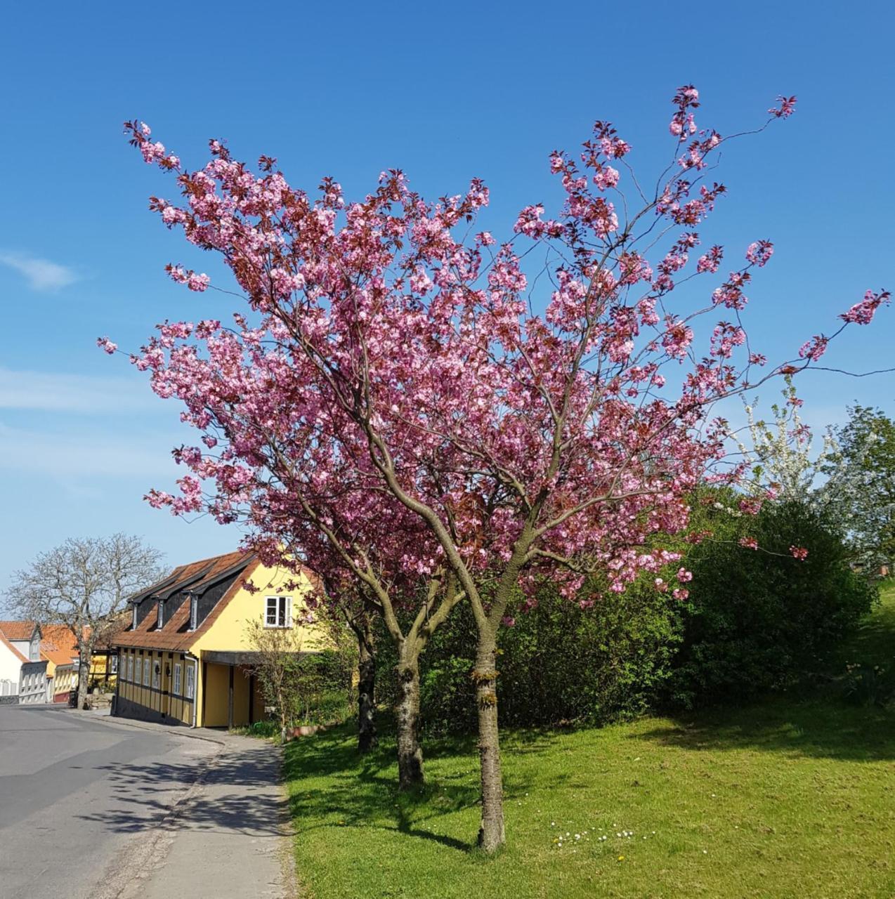 Hotel Pepita Allinge-Sandvig Buitenkant foto